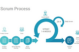 SCRUM’s Product Owner survival guide.