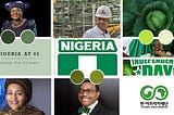 Nigeria at 62: Behind The Screen