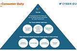 Am overarching pyramid diagram showing the Consumer overarching principle