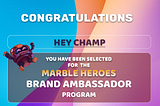 1st stage of Marble Heroes Ambassador Program Finished & Non-Selected Ambassador’s Campaign…