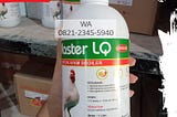 WA 0821–2345–5940, Vitamin Untuk Doc Ayam Broiler Pangolangan Bangkalan