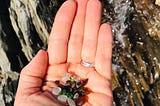 Sea Glass