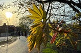 A close-up of a branch with young, green leaves and buds in the foreground. The background shows a paved path with a few people walking, trees with sparse leaves, and the sun setting, casting a warm glow over the scene. The image captures the essence of spring with new growth on the trees and a serene, natural setting.
