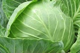 100+ Best vegetables name in Hindi and English pdf