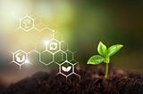 How Blockchain Can Make ESG More Meaningful