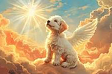 Is There a God (Dog)?