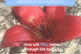 Monday Mojo and Motivation