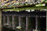 Minnesota Fox Farm Confirmed Closed