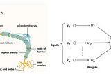 Neural Networks: Theory, Use-cases, Code implementations and more.