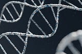 Strands of DNA under high-power magnification show their double helix structures. (Photo by <a href=”https://unsplash.com/@warrenumoh?utm_source=unsplash&utm_medium=referral&utm_content=creditCopyText">Warren Umoh</a> on <a href=”https://unsplash.com/photos/a-chain-link-fence--qycBqByWIY?utm_source=unsplash&utm_medium=referral&utm_content=creditCopyText">Unsplash</a>)