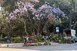 The Many Joys of Mexico City