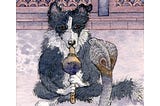 A Border collie dog plays a musical instrument to beguile a cobra snake.