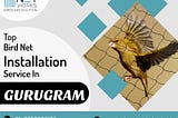 Pigeon Net for Balcony Installation in Gurugram