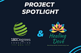 Project Spotlight- Healing Dove Foundation
