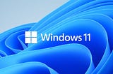 How to make a Windows 11 Bootable USB on a Mac