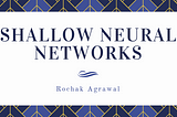 Shallow Neural Networks