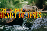 Experiencing the Heart of Jesus
By Max Lucado