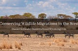 Conserving Wildlife Migrations in the West