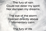 The Fury of the Storm


Inspired by Idalia