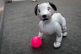 How does our “dogged” pursuit of technological advancement affect privacy: the Sony “Aibo” Dog