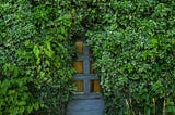 The Hidden Door and the Enchanted Garden
One calm afternoon in my backyard, I was deeply thinking…