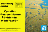 Sensemaking meetup: Cynefin-lähestymistavan käytännön menetelmät