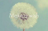 Rashika Jain — Make A Wish