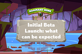 Initial Beta Launch: what can be expected.