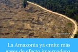 La Amazonia ya emite más gases de efecto invernadero de los que captura