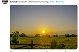 Sunrise and sunset across the twitter globe