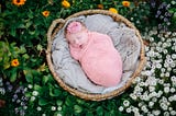 Newborn Babies and Photography