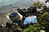 Japan tsunami marine debris: A look back five years later