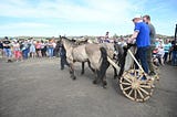 Chariots of Sintashta-Petrovka & Domestic horses and Chariots of the Near East…