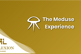 The Meduse Experience