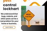 Reliable Pest Control in Lockhart, Texas: Keep Your Home and Business Pest-Free! 🛡️🐜