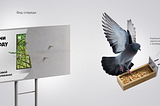 Soda band создало «живой» билборд для телеканала Viasat Nature HD