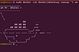 Starting with Docker-CLI