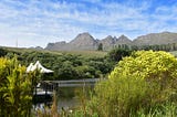 Exotic Places To Stay In The Cape Winelands