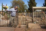 An 80 year old man holds a flower bouquet in his hand as he bends over a small fence to observe his father’s grave to which he hasn’t been to visit in almost 30 years. It is a cold and sunny day in winter at Cananea, Sonora’s cemetery. Most of the graves there are abandoned.