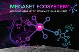 What Drives The Success of MEGASET?