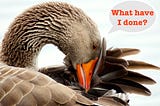 A brown goose tucks her head under her wing, as if ashamed. Her speech bubble reads: “What have I done?”