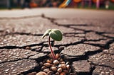 A tiny sprout pops up in a crack in the tarmac