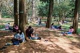 Dozens of people reading to themselves, gathered together under trees in a park