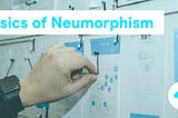 Basics of Neumorphism in Flutter