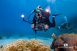 10 Rules for the Underwater Photographer