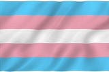 International Transgender Day of Visibility