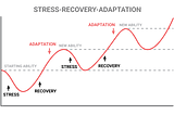 Peak Performance Can’t Last. Steady Improvement Does.