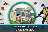 Pest control is essential for maintaining a healthy and safe environment, and PestPro’s Fumigation Service in Nairobi, Kenya offers the perfect solution.