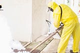 Defend Your Property: Effective Termite Control Solutions