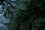 I Wrote a Spicy Scene. My OCD Wrote a Disaster Film.